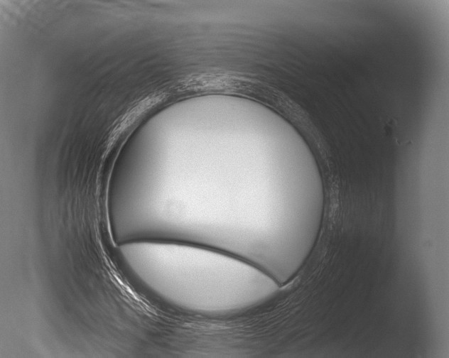 X0000086090578200703231118