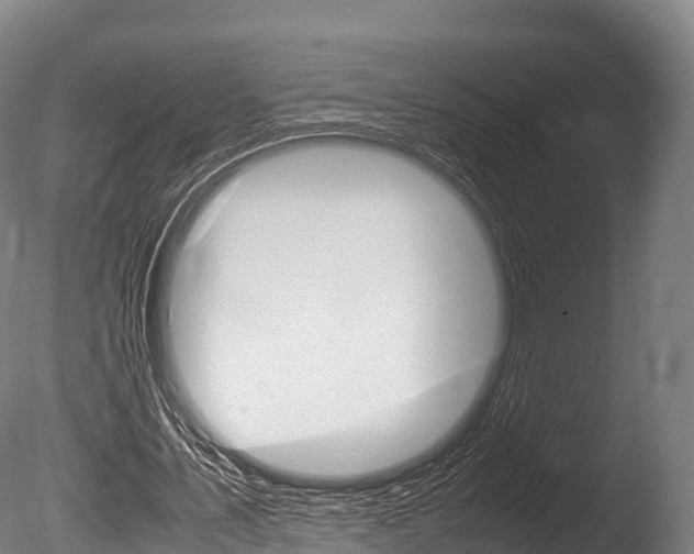 X0000086090579200703231118