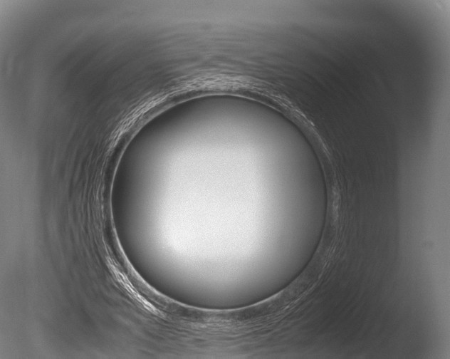 X0000086090581200703231118