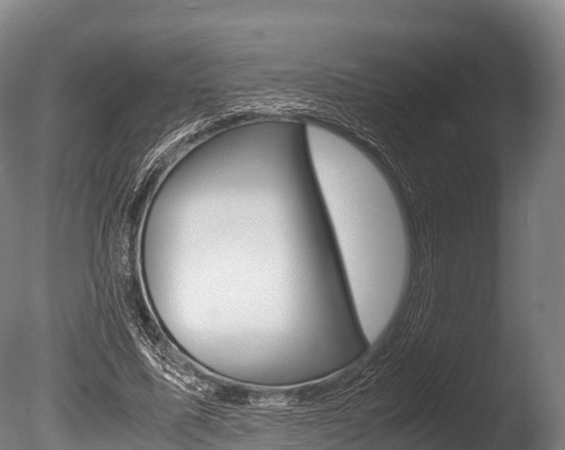 X0000086090587200703231118