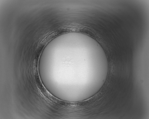 X0000086090594200703231118