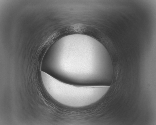X0000086090595200703231118