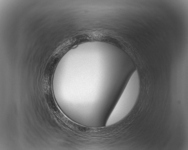 X0000086090599200703231118