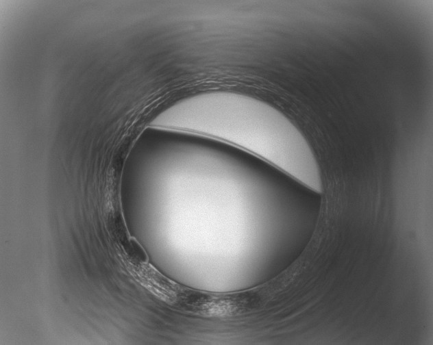 X0000086090604200703231118