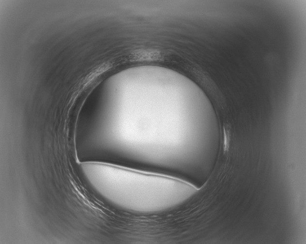 X0000086090627200703231117