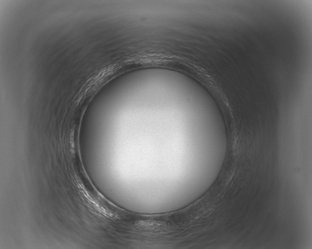 X0000086090633200703231117