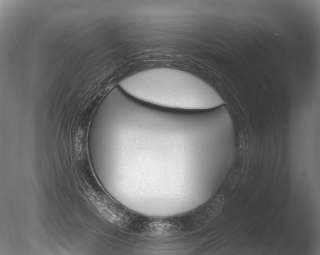 X0000086090650200703231117