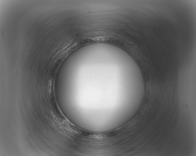 X0000086090652200703231117