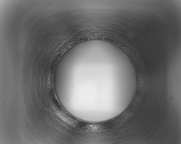 X0000086090654200703231117
