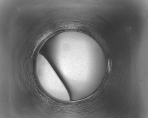 X0000086090675200703231117