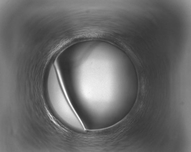 X0000086090677200703231117