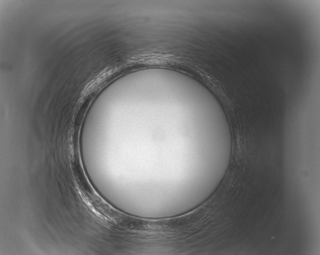 X0000086090682200703231117