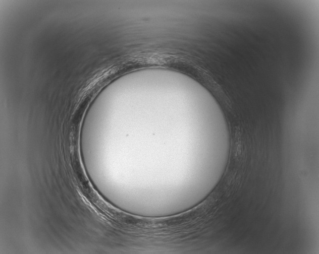 X0000086090683200703231117