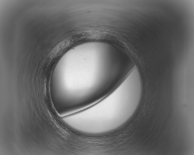 X0000086090685200703231117