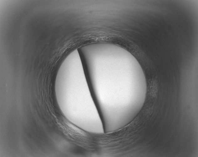 X0000086090695200703231116