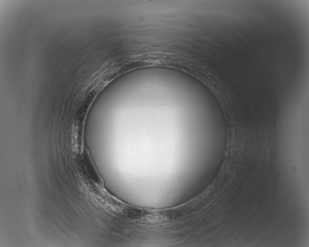 X0000086090696200703231116