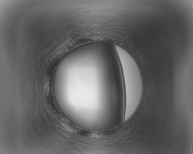 X0000086090697200703231116