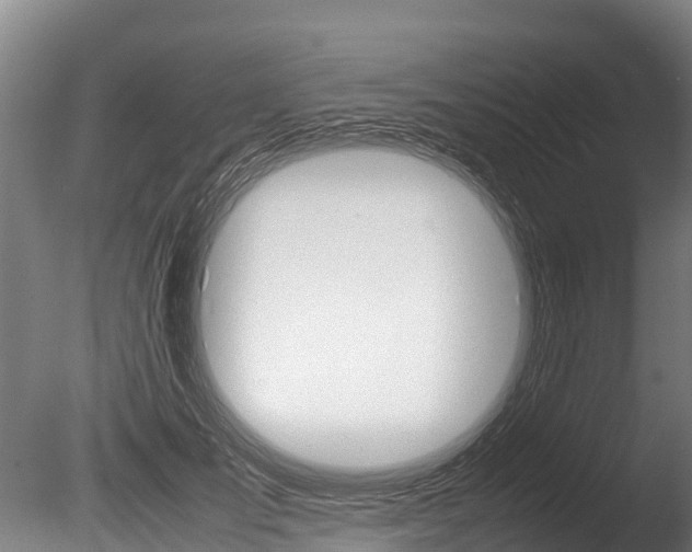 X0000086090701200703231116