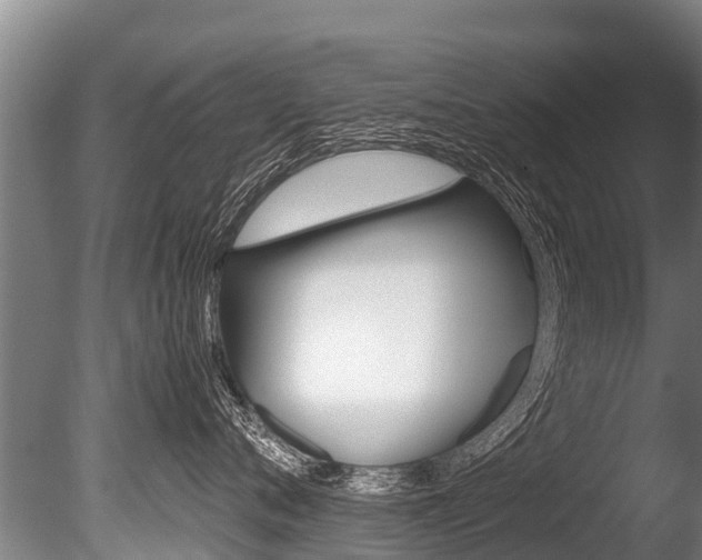 X0000086090720200703231116