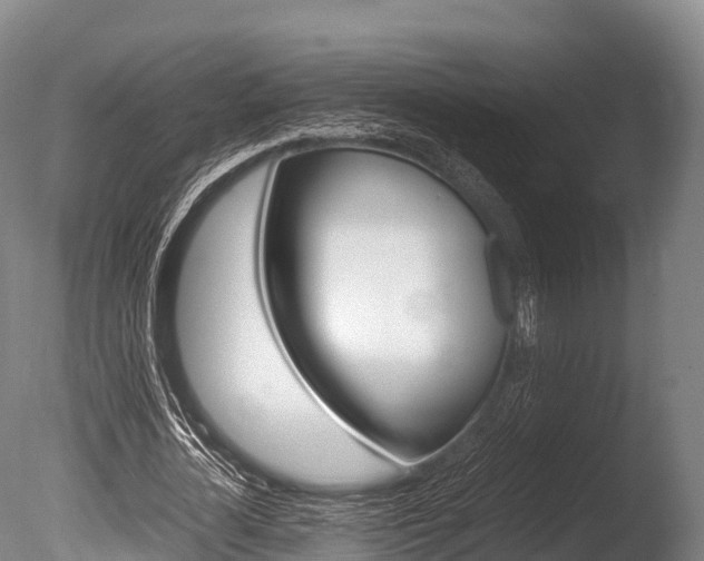 X0000086090724200703231115