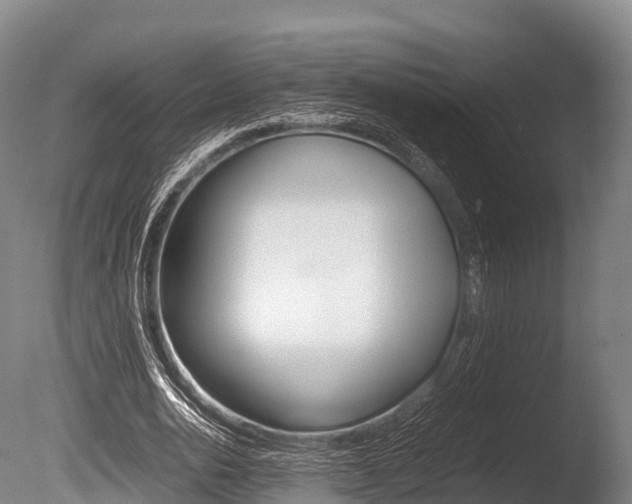 X0000086090726200703231115