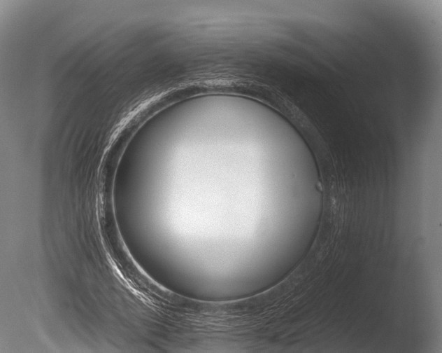 X0000086090728200703231115