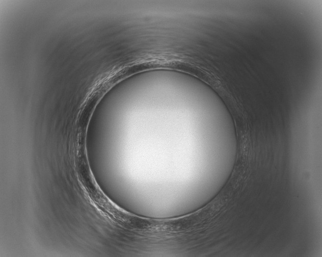 X0000086090736200703231115