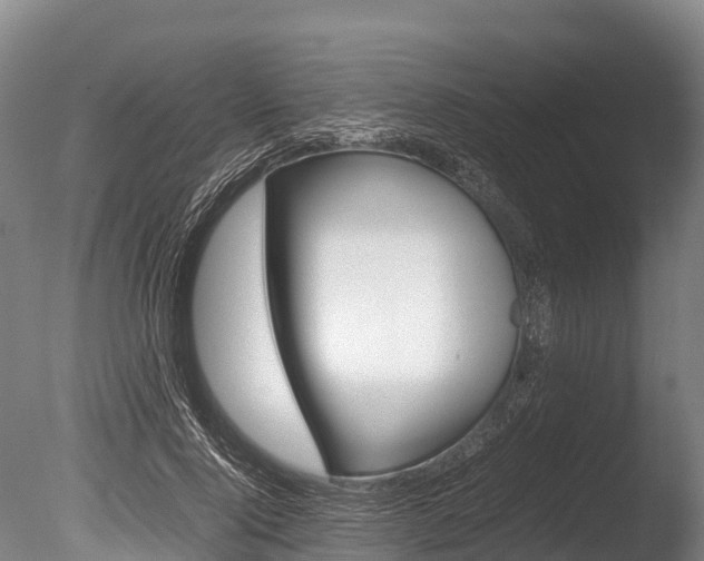 X0000086090740200703231116