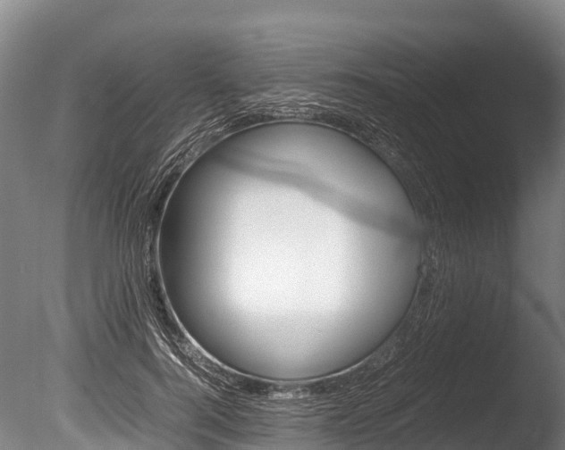 X0000086090744200703231116