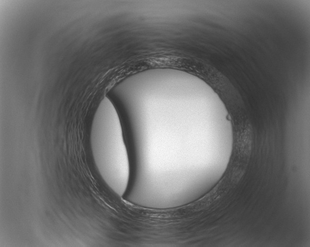 X0000086090749200703231116