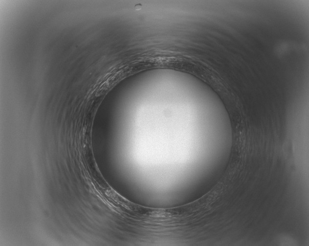 X0000086090750200703231116