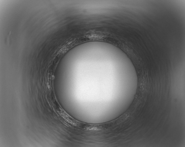 X0000086090755200703231116