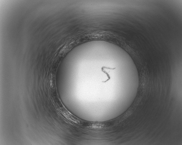 X0000086090758200703231116