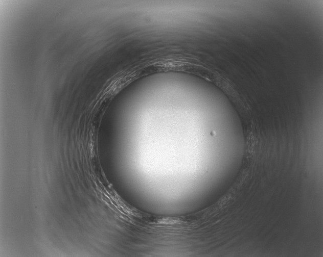 X0000086090762200703231116