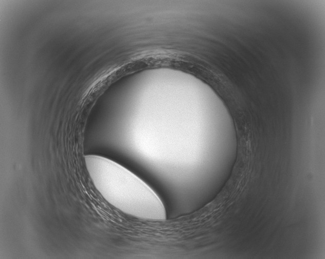 X0000086090775200703231115