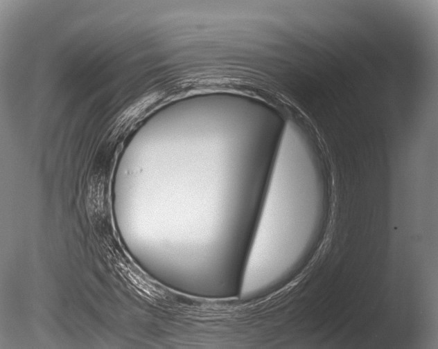 X0000086090777200703231115