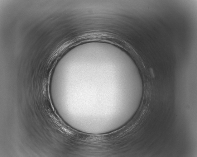 X0000086090778200703231115