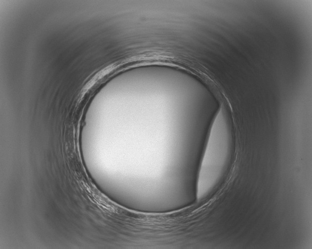 X0000086090781200703231115