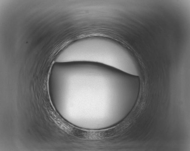 X0000086090785200703231115
