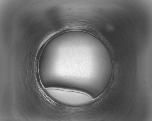 X0000086090787200703231115