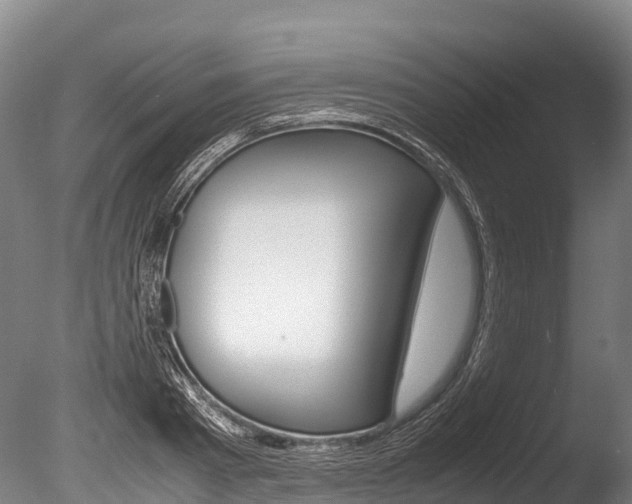 X0000086090793200703231115