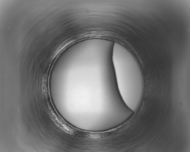 X0000086090794200703231115