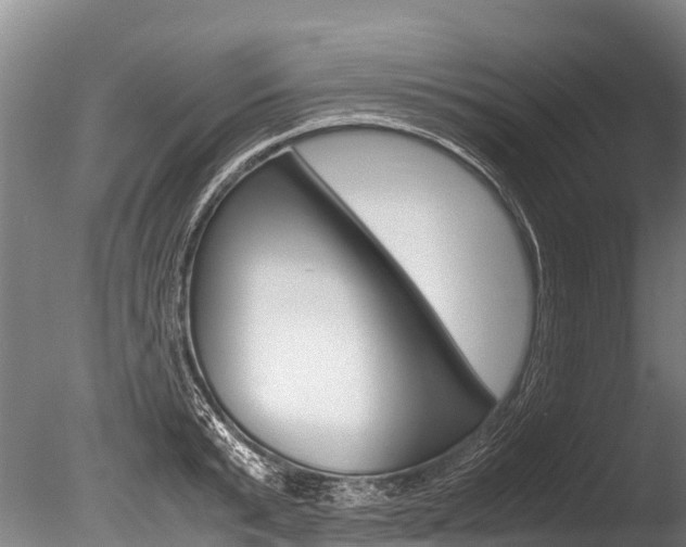 X0000086090799200703231115