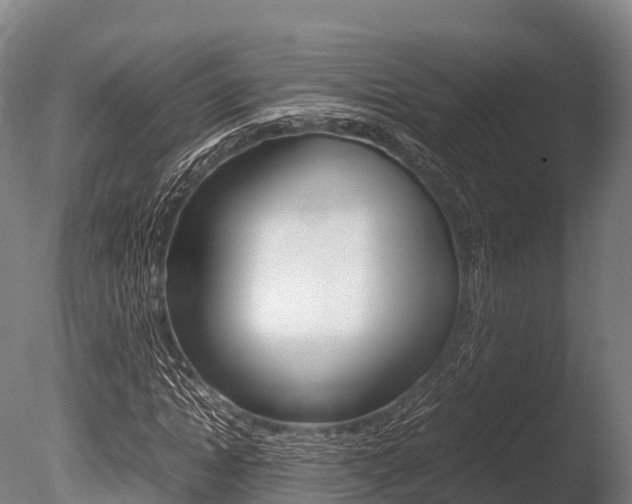 X0000086090822200703231114