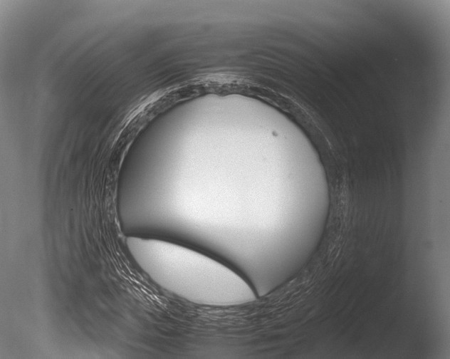 X0000086090823200703231114