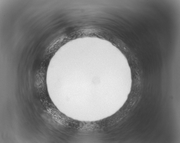 X0000086090824200703231114