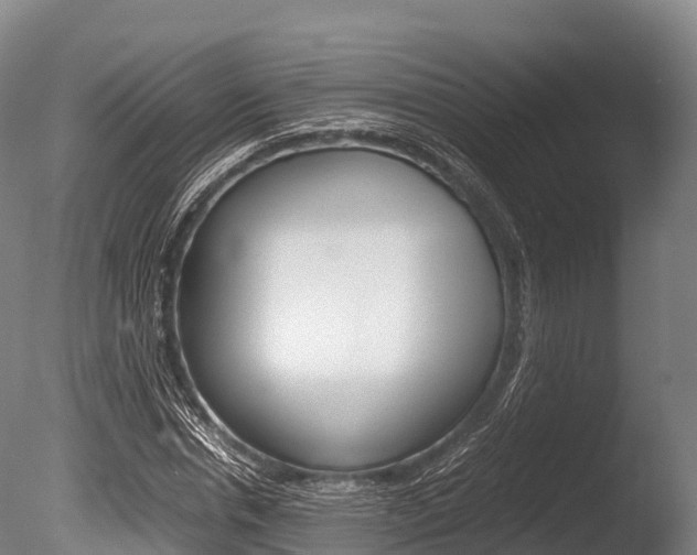 X0000086090826200703231114