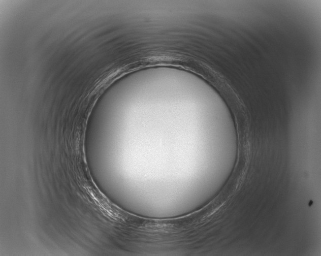 X0000086090833200703231114