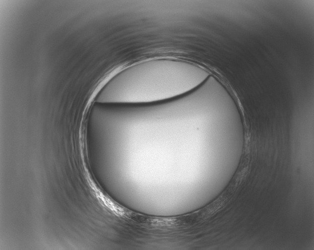 X0000086090859200703231114