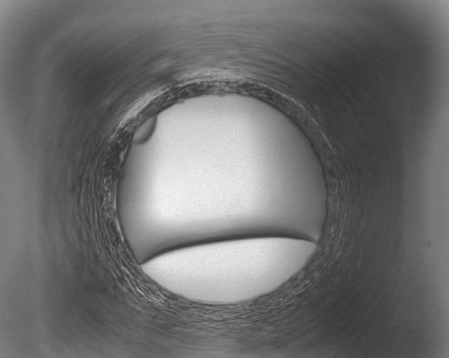 X0000086090871200703231113
